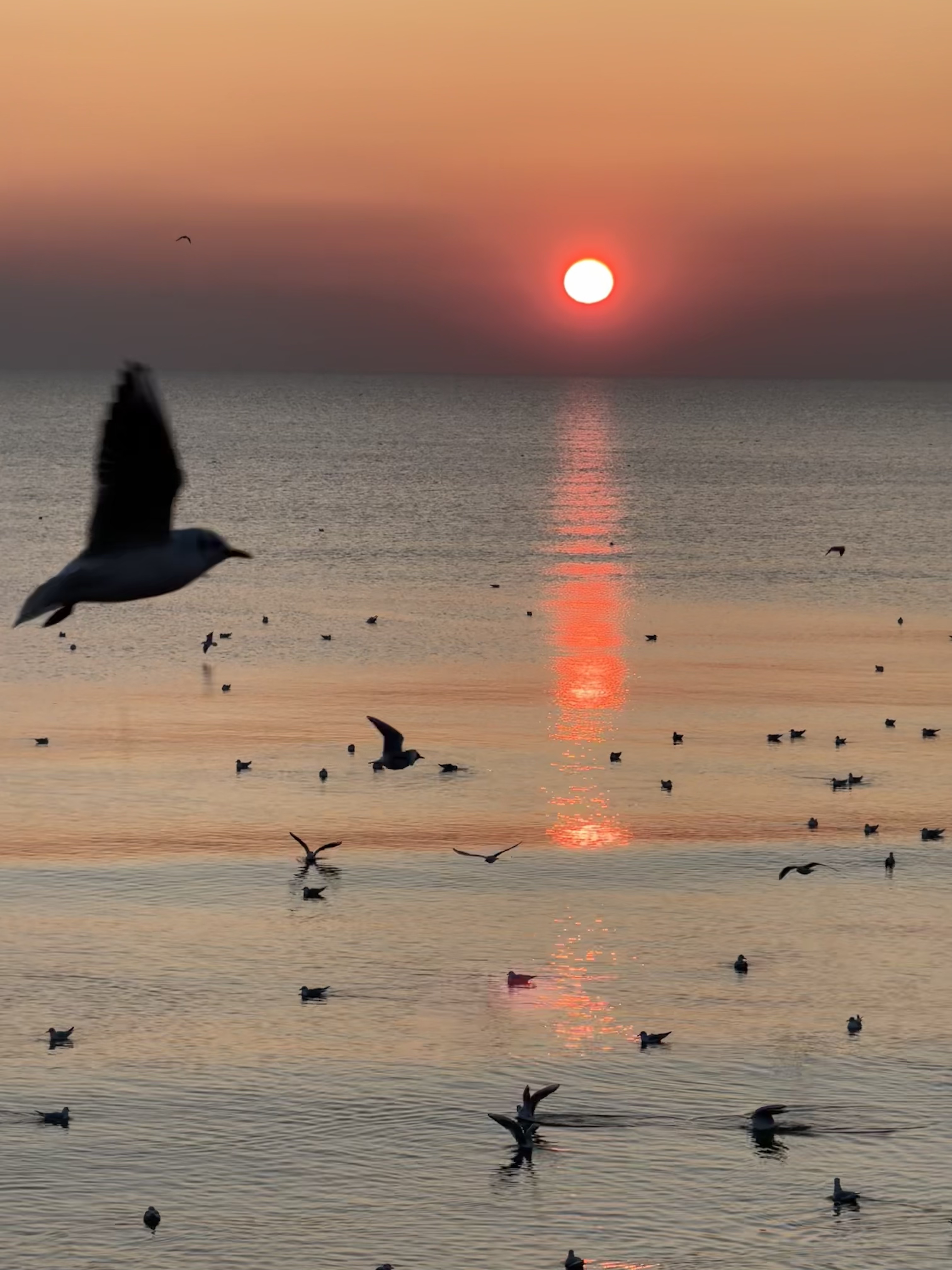 2025 年终总结：从时序数据库到 AI Infra 的转身